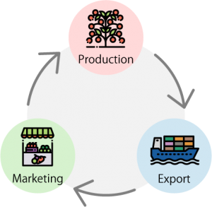 Cycle diagram en